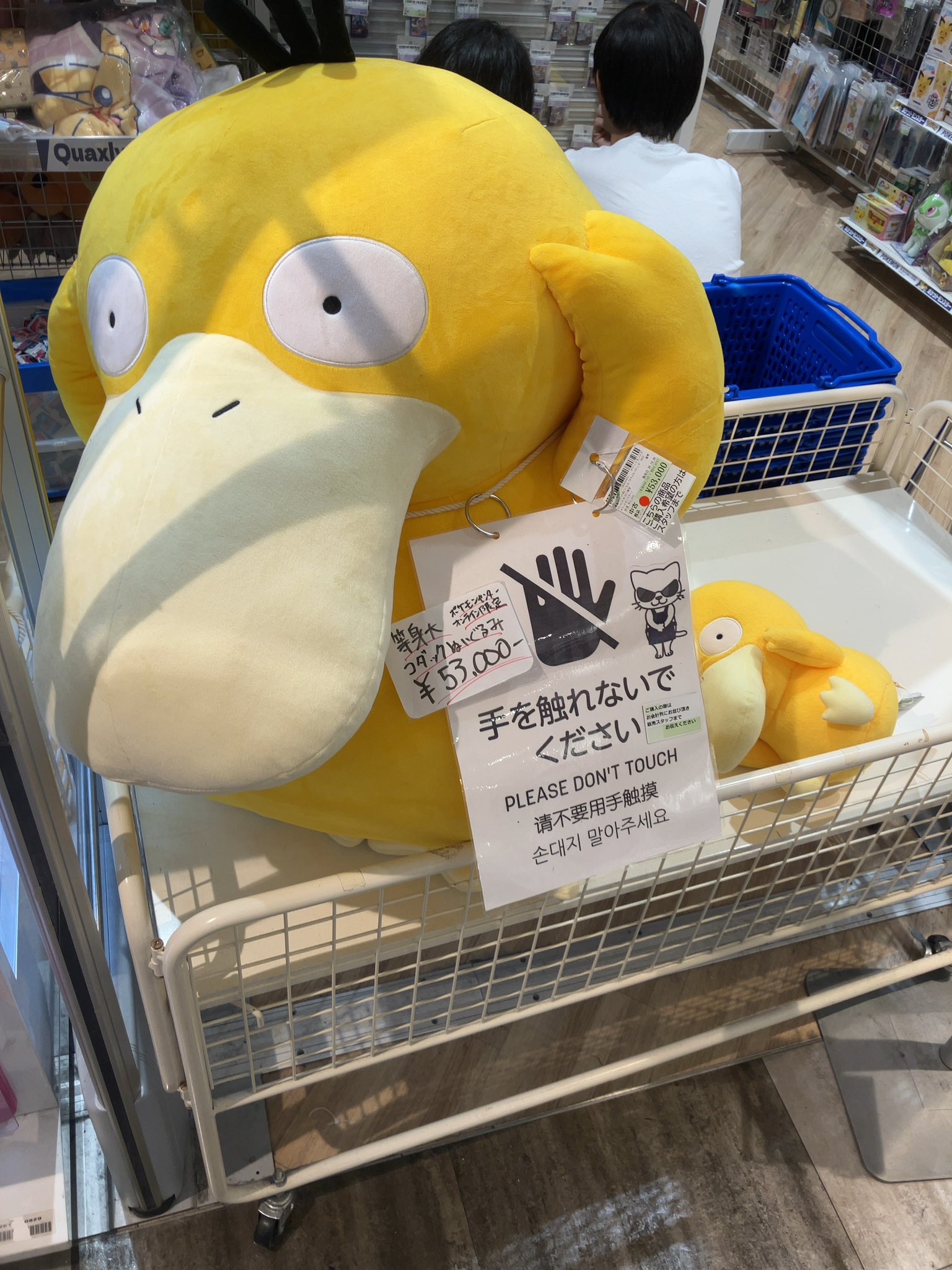 コダック等身大 ポケモンセンターオンラインにて「ぬいぐるみ 等身大コダック