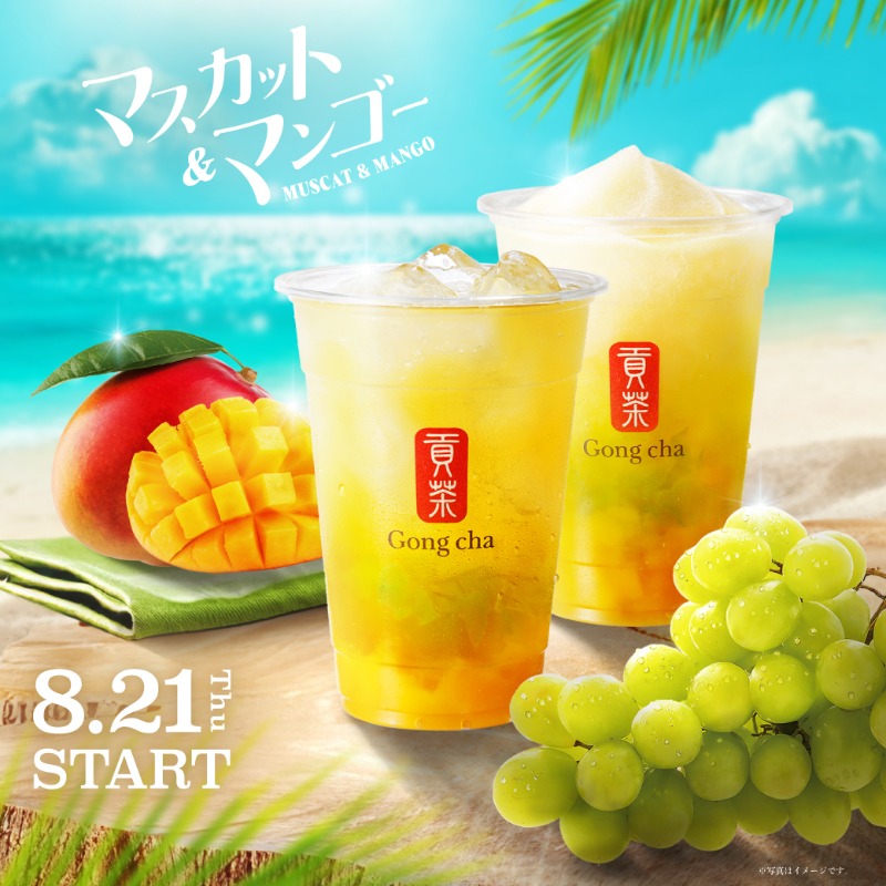 新商品　ゴンチャ　ミルクティー　2ケース48本 ゴンチャ 2ケース48本 送り込む 新商品 ミルクティー