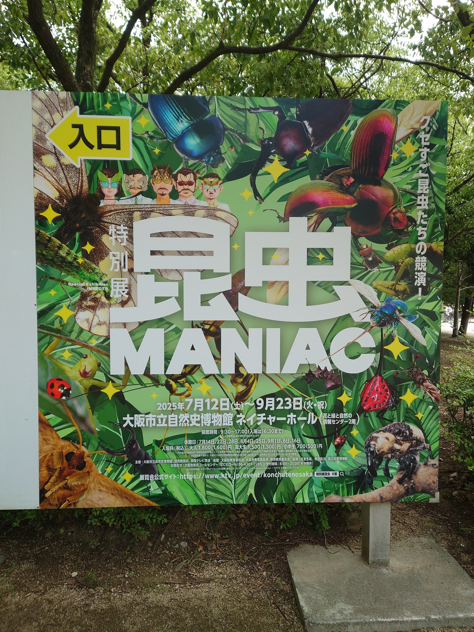 イモムシ王国 Amazon.co.jp: 甲虫王者 ムシキング アトラスオオカブト M-S1-09
