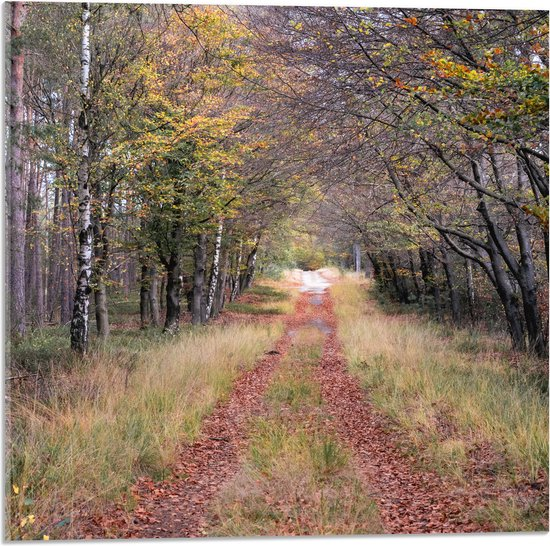 Let op bij warm weer! ☀️

Het is droog en warm buiten, waardoor natuurbranden snel kunnen ontstaan.
Zet je auto niet in hoog of droog gras: de hitte van de onderkant kan brand veroorzaken.

Drink voldoende water. Vooral ouderen lopen bij dit weer extra risico op uitdroging.