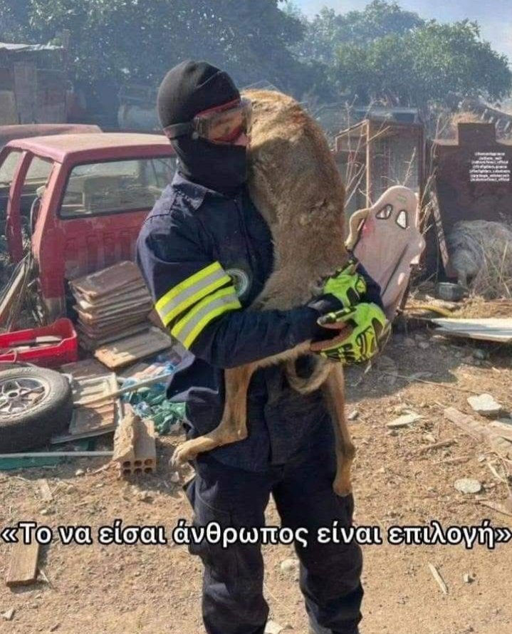 Aria52469696's tweet photo. Το να είσαι άνθρωπος είναι επιλογή 🥺 https://t.co/KYmCcQntC4