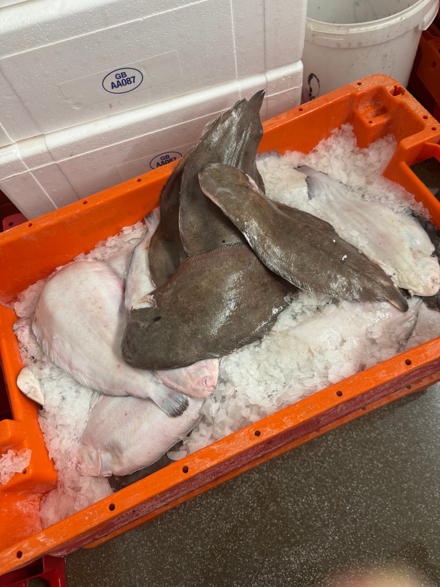 Today’s special Dover sole