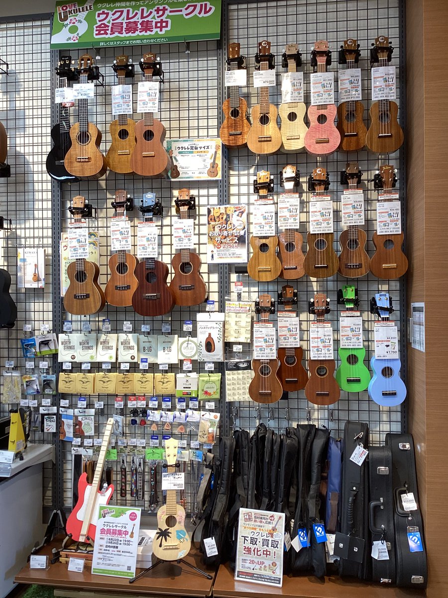 shima_sd_izumi's tweet image. 【ウクレレ】#ウクレレ のご紹介です♪
店頭に展示している全てのウクレレがお試し可能です！ 是非店頭でご覧ください！！
shimamura.co.jp/shop/sendai-iz…
#COTONE #Hanalei #Famous