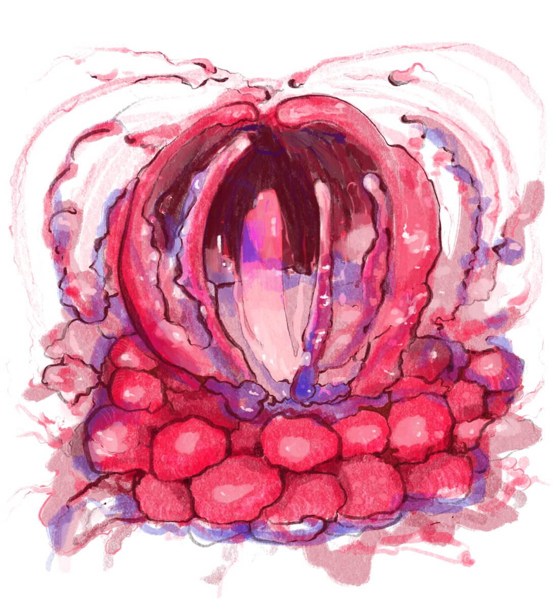 Crack -and open up

GM 🌈