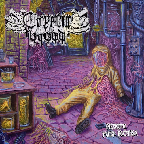 入手困難！BACTERIA LOST CD 入手困難！BACTERIA LOST CD