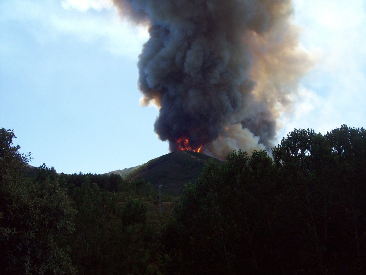 Ingeniería de Montes (@ingdemontes) on Twitter photo "Por cada euro que inviertes en prevención, reduces 100 en la factura de la extinción de incendios forestales" buff.ly/qigkdvz <a href="/IngForestal50/">Ingeniería Forestal</a> "Por cada euro que inviertes en prevención, reduces 100 en la factura de la extinción de incendios forestales" buff.ly/qigkdvz <a href="/IngForestal50/">Ingeniería Forestal</a>