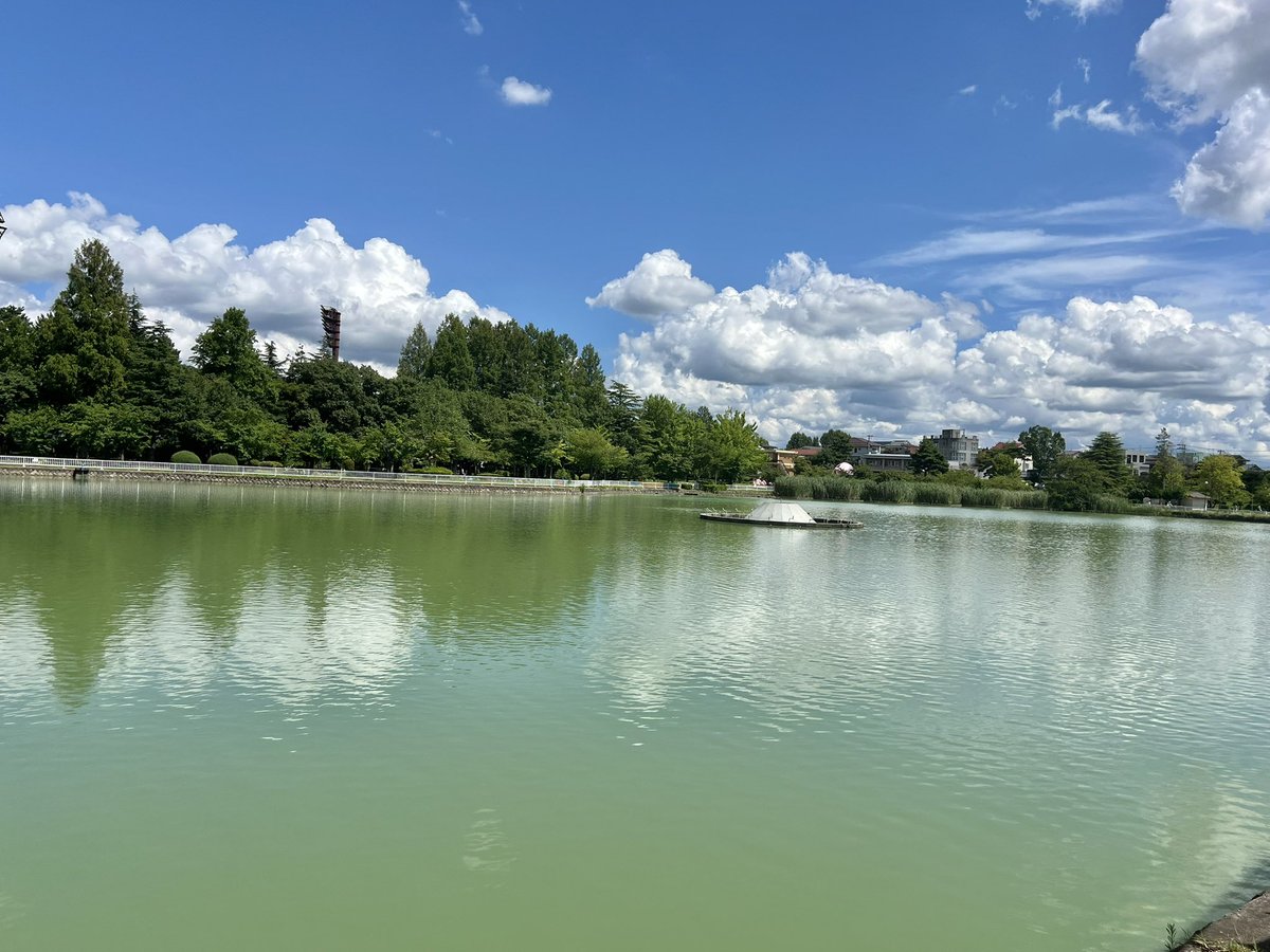 nonkian73's tweet photo. 北海道からフェリーで新潟に着いた義妹と姪っ子たちと開成山公園で待ち合わせ。姪っ子の娘めるチャンもいるので、ワンコ同伴可能のテラス席。
真夏の昼下がりでも風が涼しい。
#FlatWhiteCoffeeFactory
#LakeSideInThePark https://t.co/4hWYOMc7Om