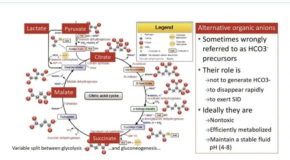 RECAT👩🏽⚕️🏥👨🏽⚕️🇲🇽🫀 tweet media