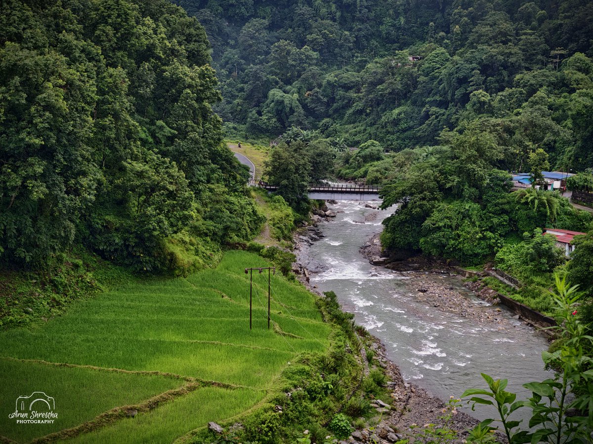 "जननी जन्मभूमिश्च स्वर्गादपि गरीयसी"

प्राकृत पोखरा...