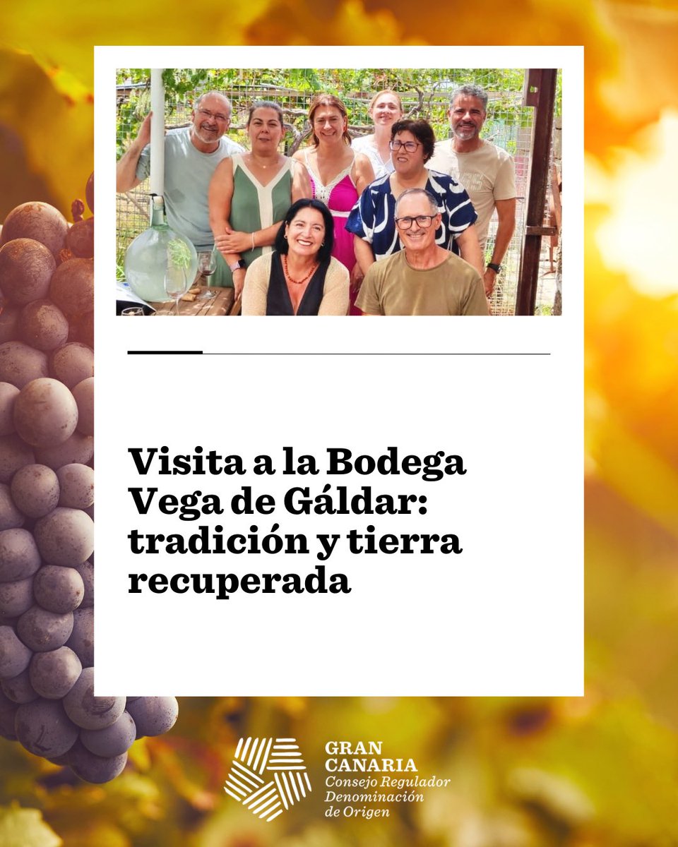 DOGranCanaria's tweet photo. 🍇 El Comité de Cata de Vinos de Gran Canaria visitó la Bodega Vega de Gáldar, donde tradición y tierra se unen en cada vino. Gracias por abrirnos las puertas del lugar donde nace todo.

➕ info: https://t.co/AT2DWM5DhK

#VinosDeGranCanaria #DOGranCanaria https://t.co/WtLmWNr5gA