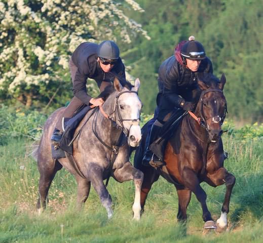 Crest Racing (@crestracing1) on Twitter photo Crest Of Fire runs in the 6.25 <a href="/FfosLasRC/">Ffos Las Racecourse</a> for <a href="/ChannonRacing/">Jack Channon Racing</a> <a href="/davidprobert9/">David probert</a> takes the ride.
Good luck to all owners & connections Crest Of Fire runs in the 6.25 <a href="/FfosLasRC/">Ffos Las Racecourse</a> for <a href="/ChannonRacing/">Jack Channon Racing</a> <a href="/davidprobert9/">David probert</a> takes the ride.
Good luck to all owners & connections