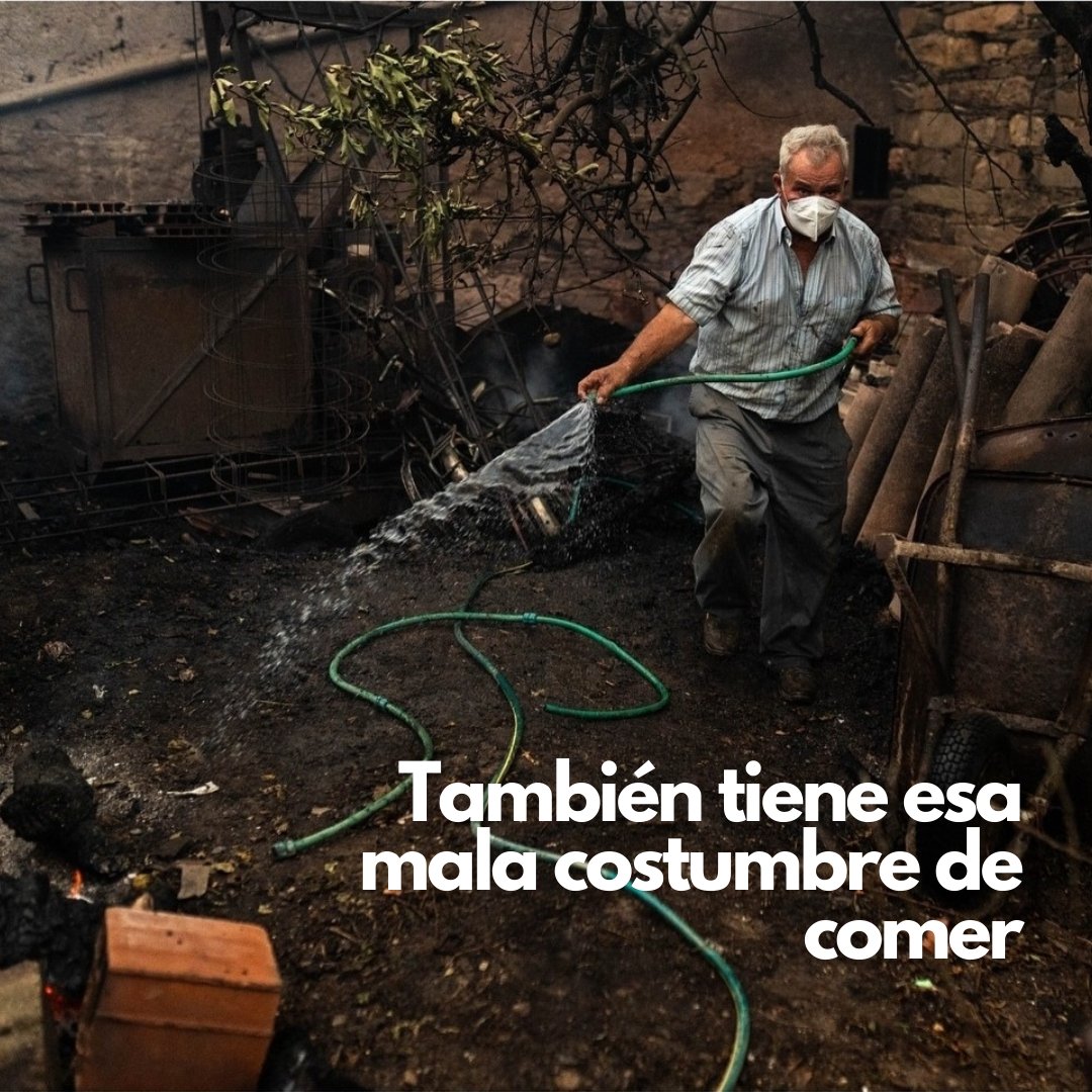 Don_Sopalajo's tweet photo. Como siempre, unos comen más que otros.

Y también más calentitos. 

#IFMolezuelasDeLaCarballeda https://t.co/ZUmFdrqAsH