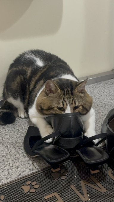 Twitterのコスプレ画像1