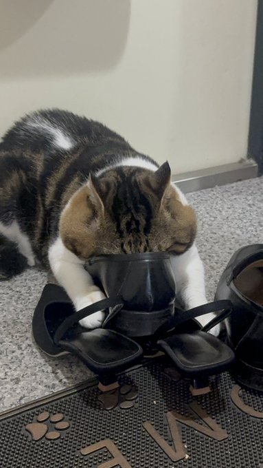 Twitterのコスプレ画像20