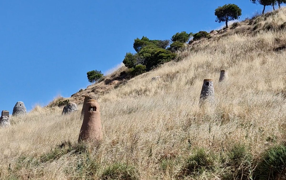 culturaliquidaf's tweet photo. Las #zarceras o también conocidas como luceras, respiraderos o tuferas, son chimeneas abiertas al cielo. Son señal de que sigue latente la #cultura del vino y que debajo huno o hay una bodega. Sirven para ventilar y liberar el "tufo" durante la fermentación del #vino. https://t.co/FwLfszlveW