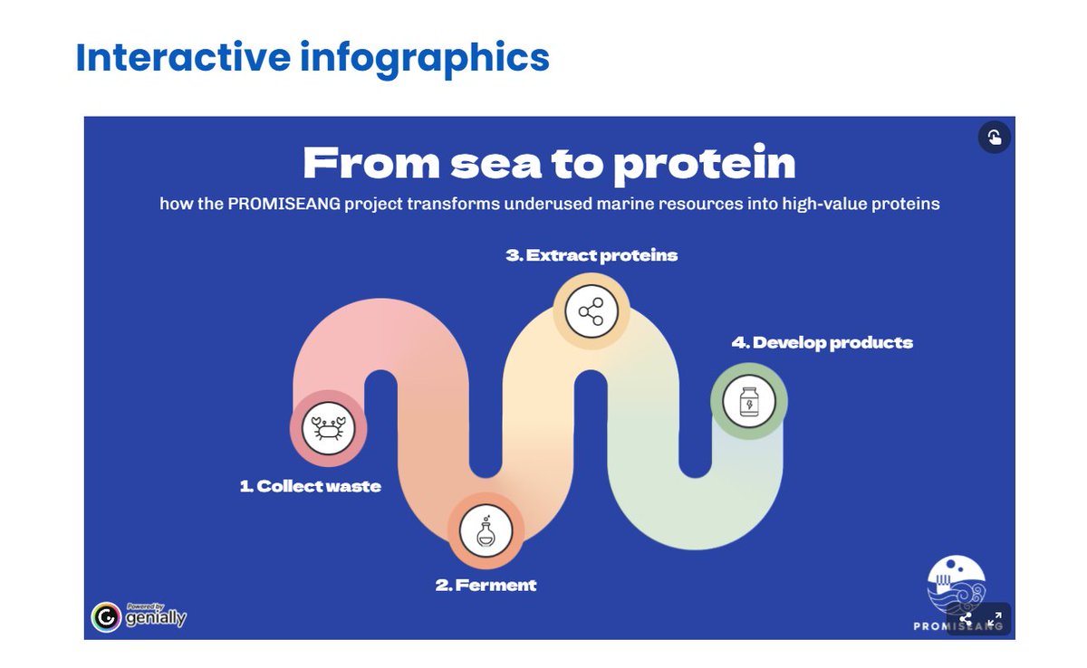 Promiseang Project tweet media