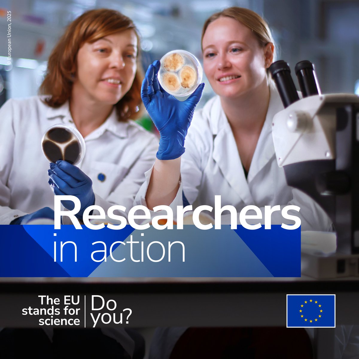 HorizonEU's tweet photo. The EU launched #Science4EU on this year’s Europe Day to show how science improves lives.

In Slovenia, Anna and Anja are developing a self-healing building coating made from fungi.

A safer, greener solution supported by EU research: https://t.co/T353hZYh3o https://t.co/eoIiD2ih9M