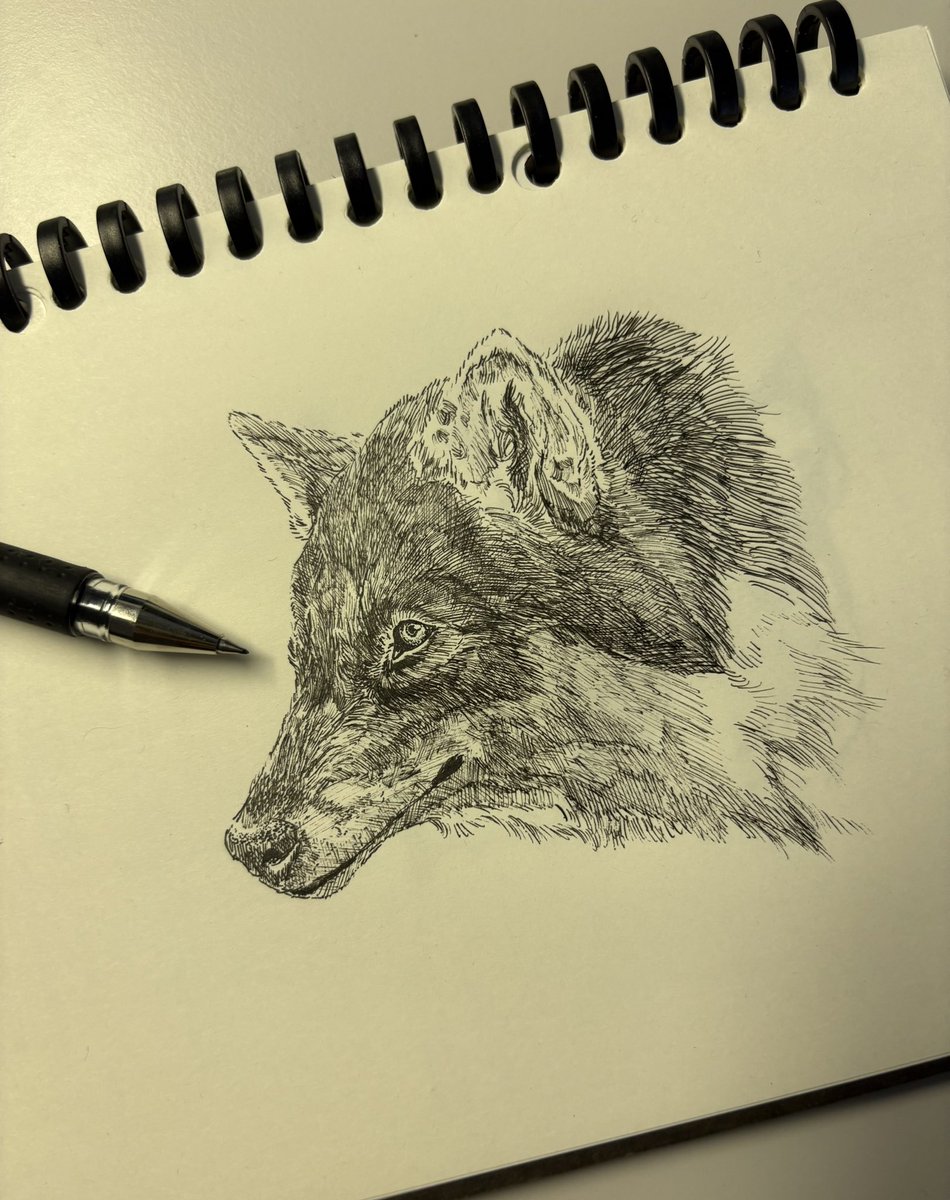 色鉛筆画 - Search / X