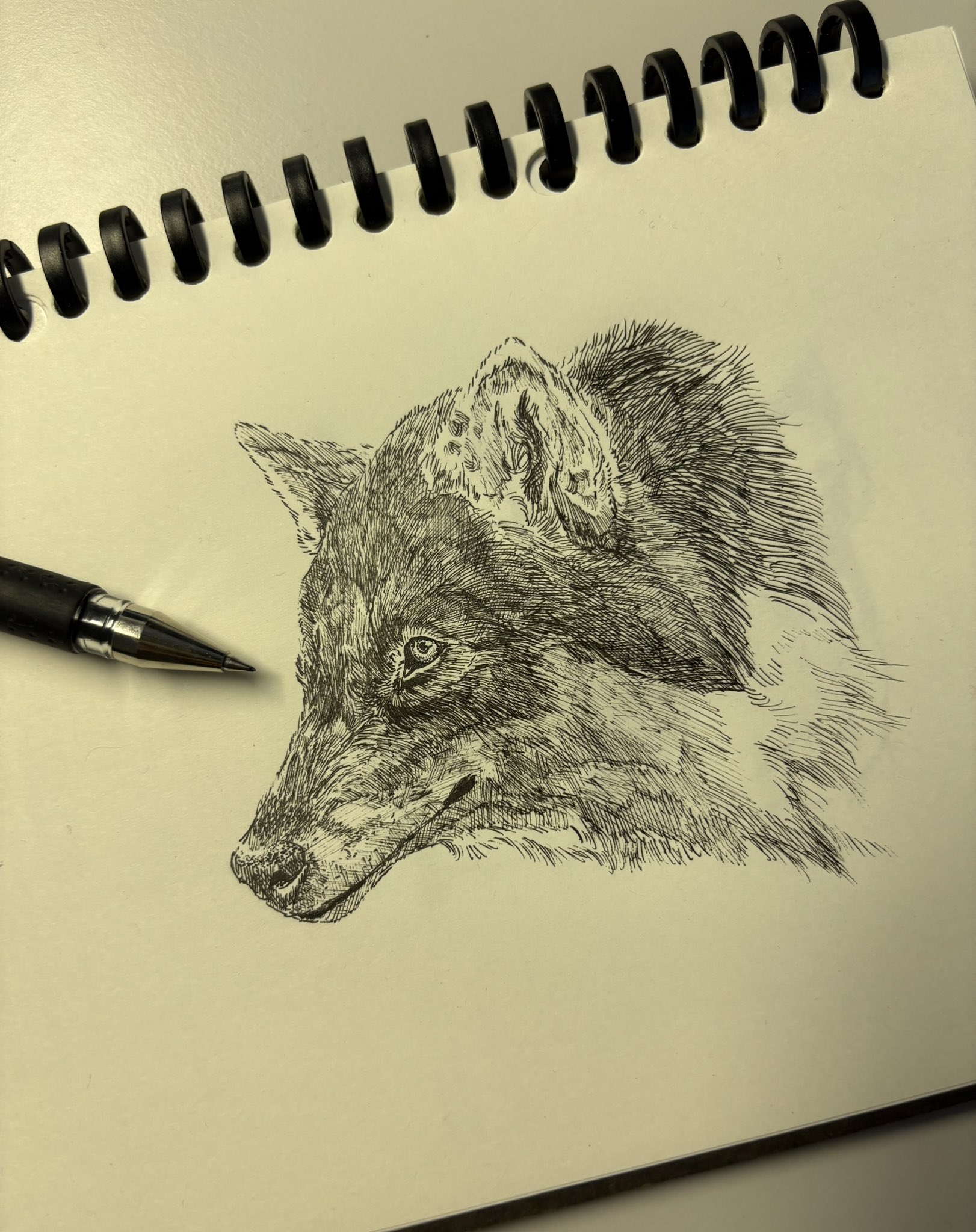 呀流風_aruf🐺🍃 on X: 