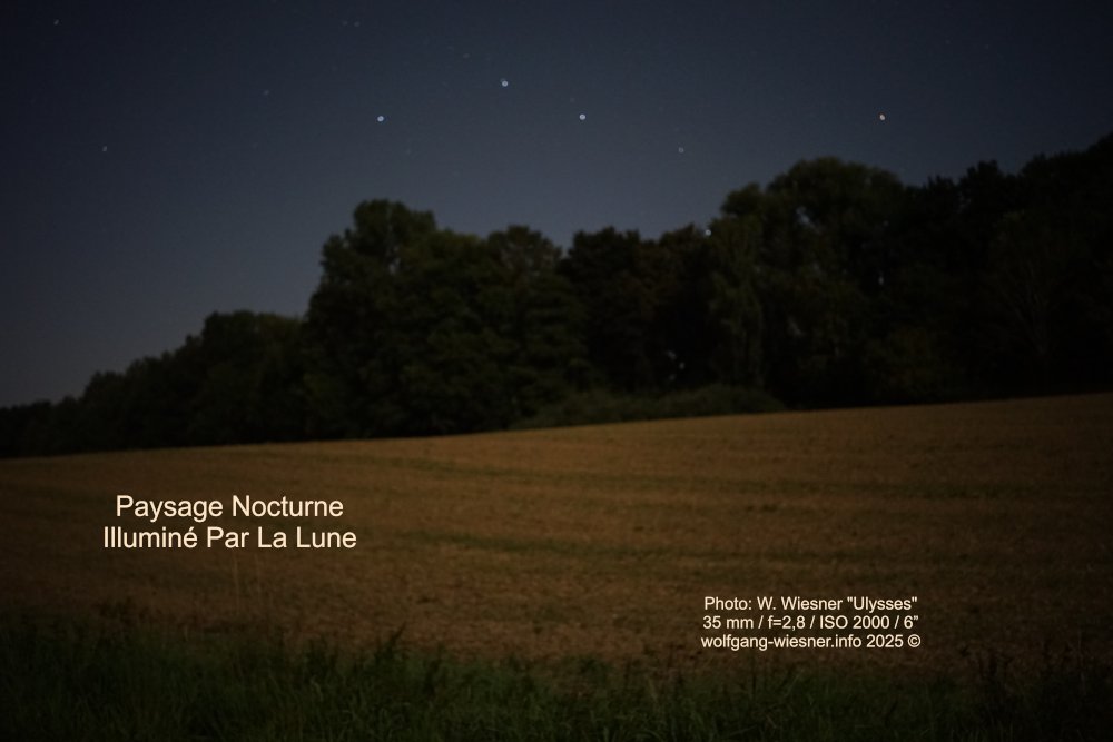 wwpresent's tweet image. Un paysage nocturne illuminé par la pleine lune d'août dans la lande de Dachau. La photo a été prise avec un appareil photo plein format avec un objectif à courte focale. L'image a ensuite été soumise à une balance des couleurs et des blancs. Découvrez des étoiles en plus !