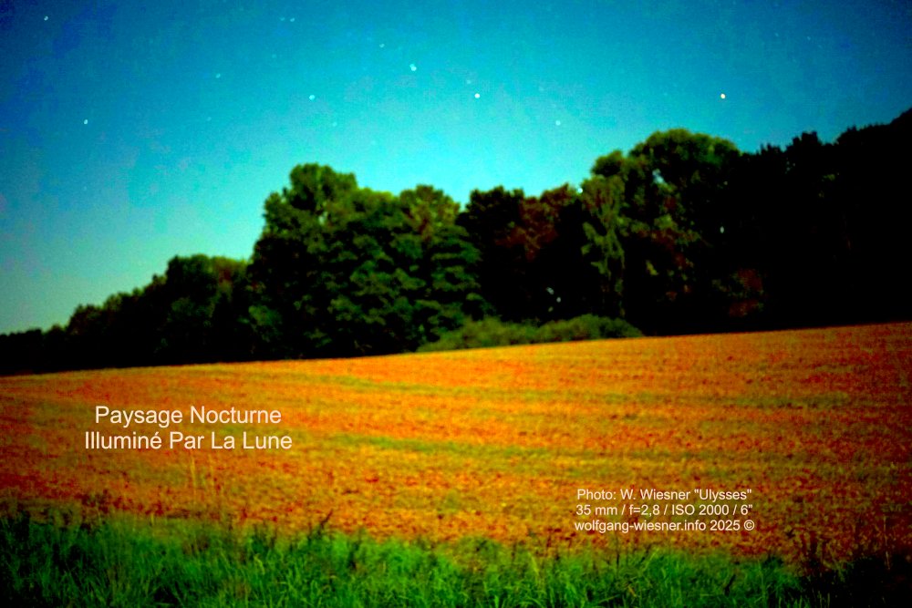 wwpresent's tweet image. Un paysage nocturne illuminé par la pleine lune d'août dans la lande de Dachau. La photo a été prise avec un appareil photo plein format avec un objectif à courte focale. L'image a ensuite été soumise à une balance des couleurs et des blancs. Découvrez des étoiles en plus !