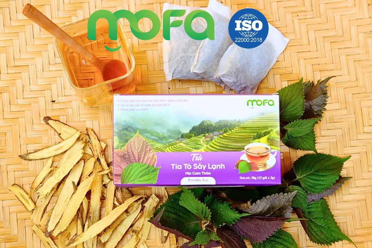 Nhiều anh chị vẫn cứ hay hỏi H, trà tía tô của MoFa có gì khác với các loại khác trên thị trường ? 
Nói thực, chị em hay anh em search 1 phát thì thị trường ko thiếu. Nhưng em H vẫn có thị trường của riêng mình. 
Vẫn có tập KH yêu quý riêng em H, rồi tin