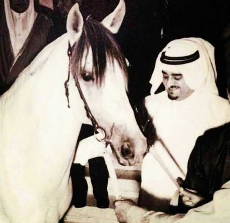الرِيمي🪻 (@qsiidy) on Twitter photo 