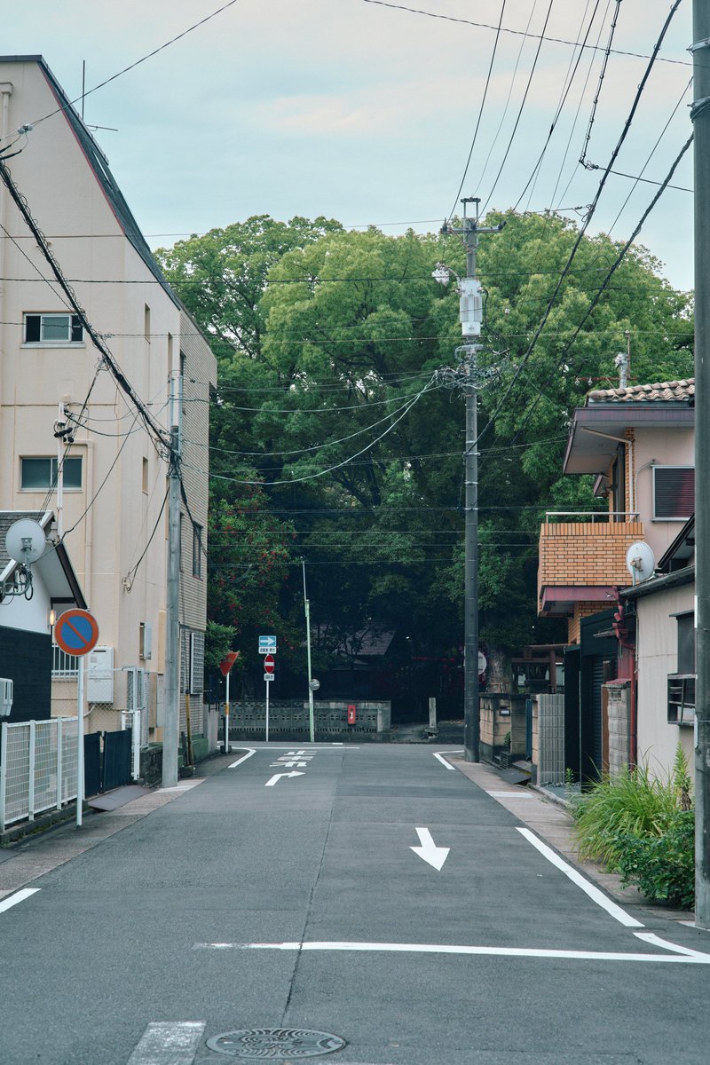 mukimukicamera's tweet photo. https://t.co/oRRBIftmaC