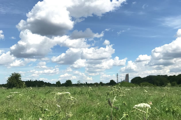 Plan to Boost Biodiversity in Wormwood Scrubs Welcomed
Scheme will see ponds created as part of drainage scheme actonw3.com/default.asp?se…