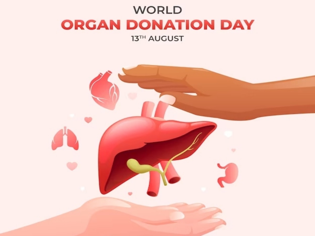 MKDmilanM's tweet photo. 🇲🇰💚 On #WorldOrganDonationDay we celebrate 🇲🇰’s first successful liver transplants!
One donor can save 8 lives – heart, lungs, liver, kidneys, pancreas &amp; corneas.
Let’s keep the momentum &amp; get closer to EU standards in saving lives.
#GiftOfLife #LiverTransplant https://t.co/IwaAbxRGNK