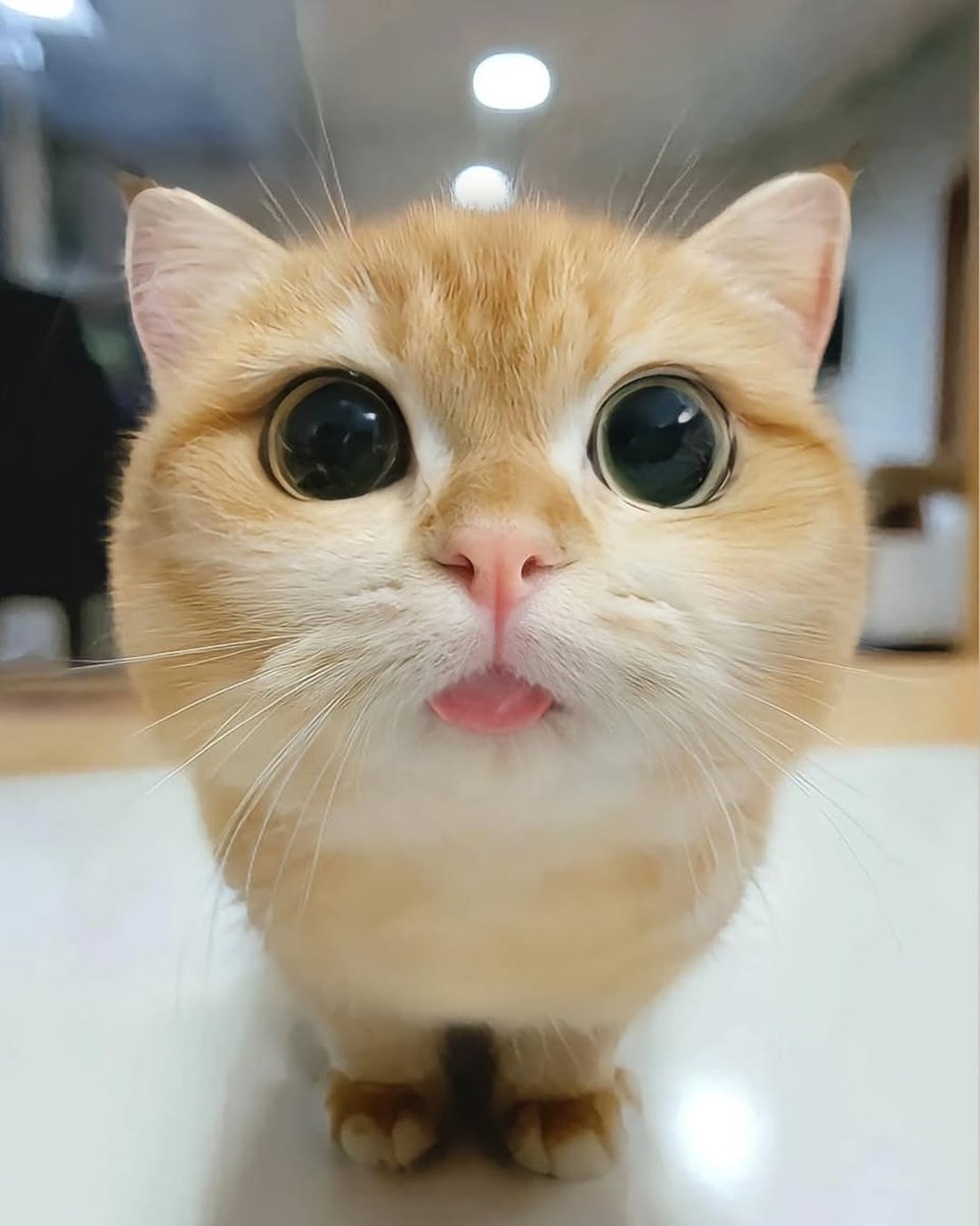 DOĞA HABER - NATURE NEWS. (@doga_h2024) on Twitter photo 