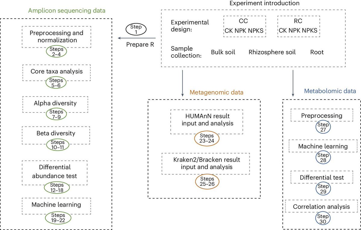 Javier Santoyo (@jsantoyo) on Twitter photo A workflow for statistical analysis and visualization of microbiome omics data using the R microeco package. #Microbiome #OmicsData #DataAnalysis #R <a href="/NatureProtocols/">Nature Protocols</a>
nature.com/articles/s4159… A workflow for statistical analysis and visualization of microbiome omics data using the R microeco package. #Microbiome #OmicsData #DataAnalysis #R <a href="/NatureProtocols/">Nature Protocols</a>
nature.com/articles/s4159…