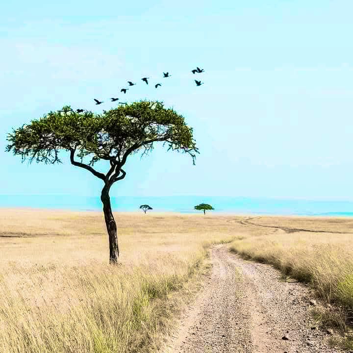 Sen bizi gökyüzüne âşık edip;
Toprakta çürüten dünyâ 
değil misin…… 🍂