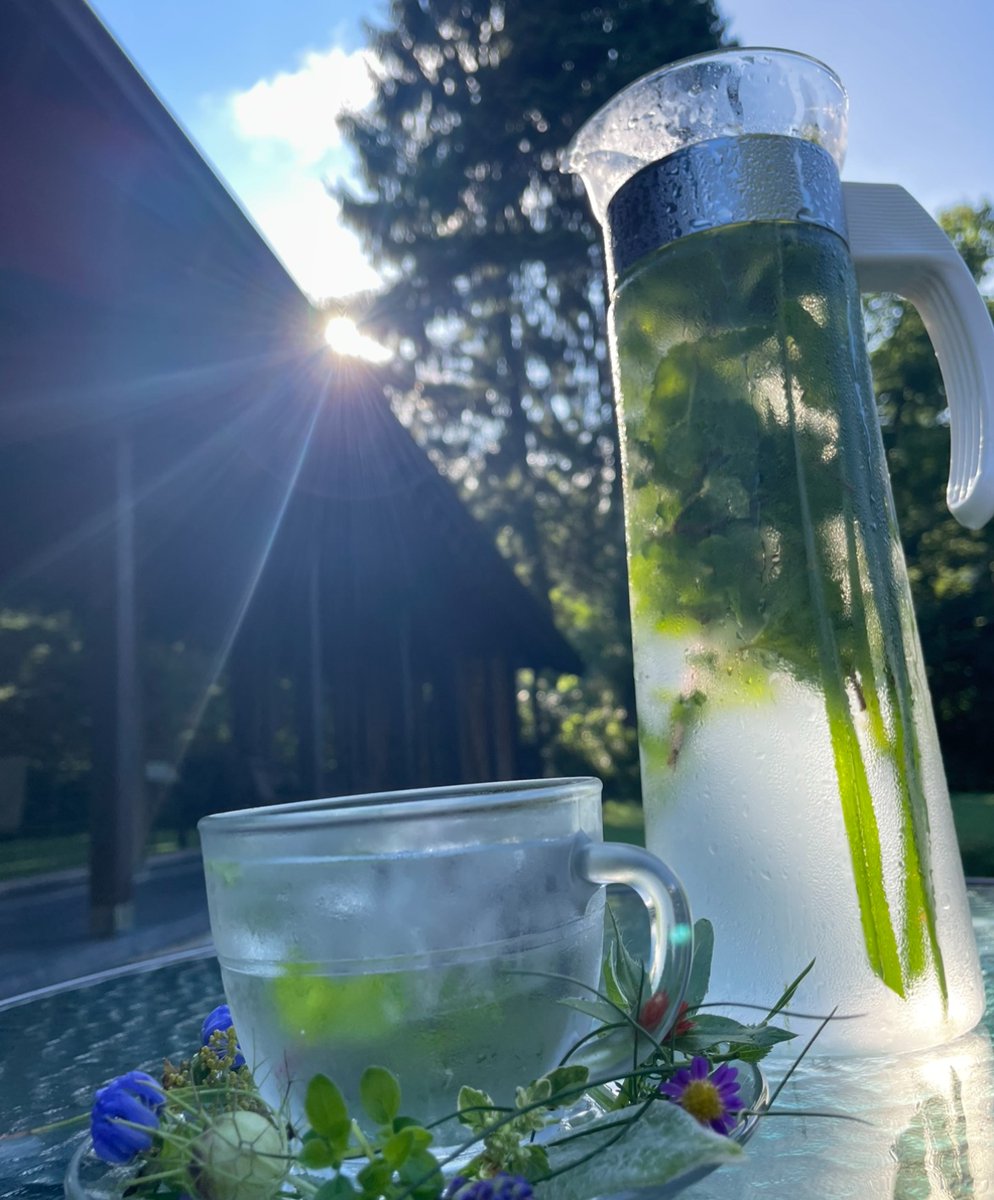 ここ数日曇天が続いていましたが、今日は見事な晴天🌤
８月ですが、夕方になると涼しいのでウッドデッキでのんびりできますよ🍃