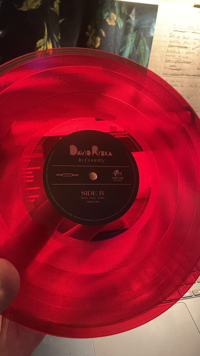 New Record , “In Country” out August 22nd, 2025 - order on my bandcamp , hand made vinyls .. collectors edition 
#newmusic #davidrybkamusic #VinylRecordDay #vinyl #collectors #rare
