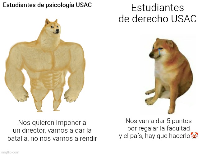 _rojilla's tweet photo. "no todo derecho", pero siempre derecho🤡🤡 https://t.co/iptROWwuF2