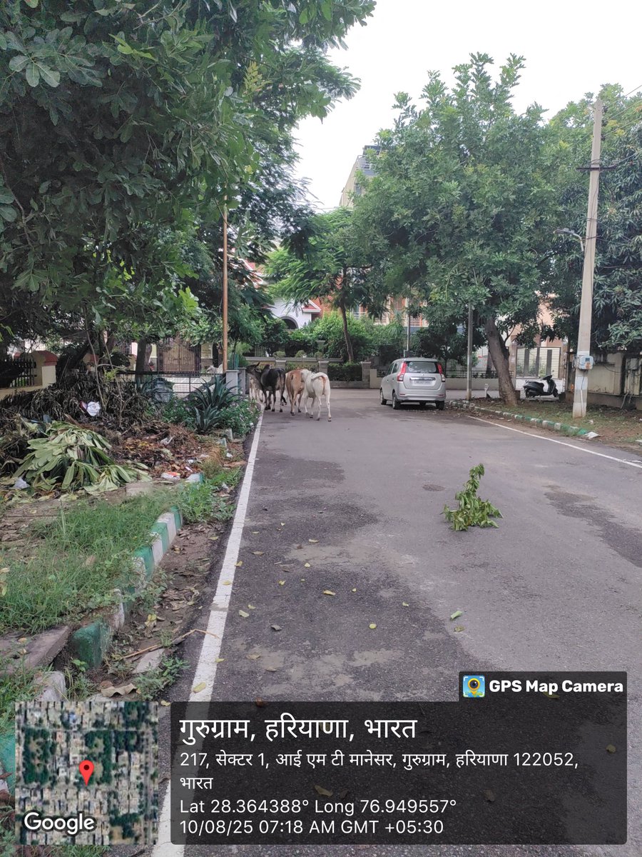 Let this proposal of deploying #IndianArmy to clean Gurugram be considered by <a href="/MCManesar/">Municipal Corporation Manesar</a> also to clean Sector-1 IMT Manesar and villages in it's area of jurisdiction. Let corruption be set aside for the sake of reputation of Commissioner MCM.
