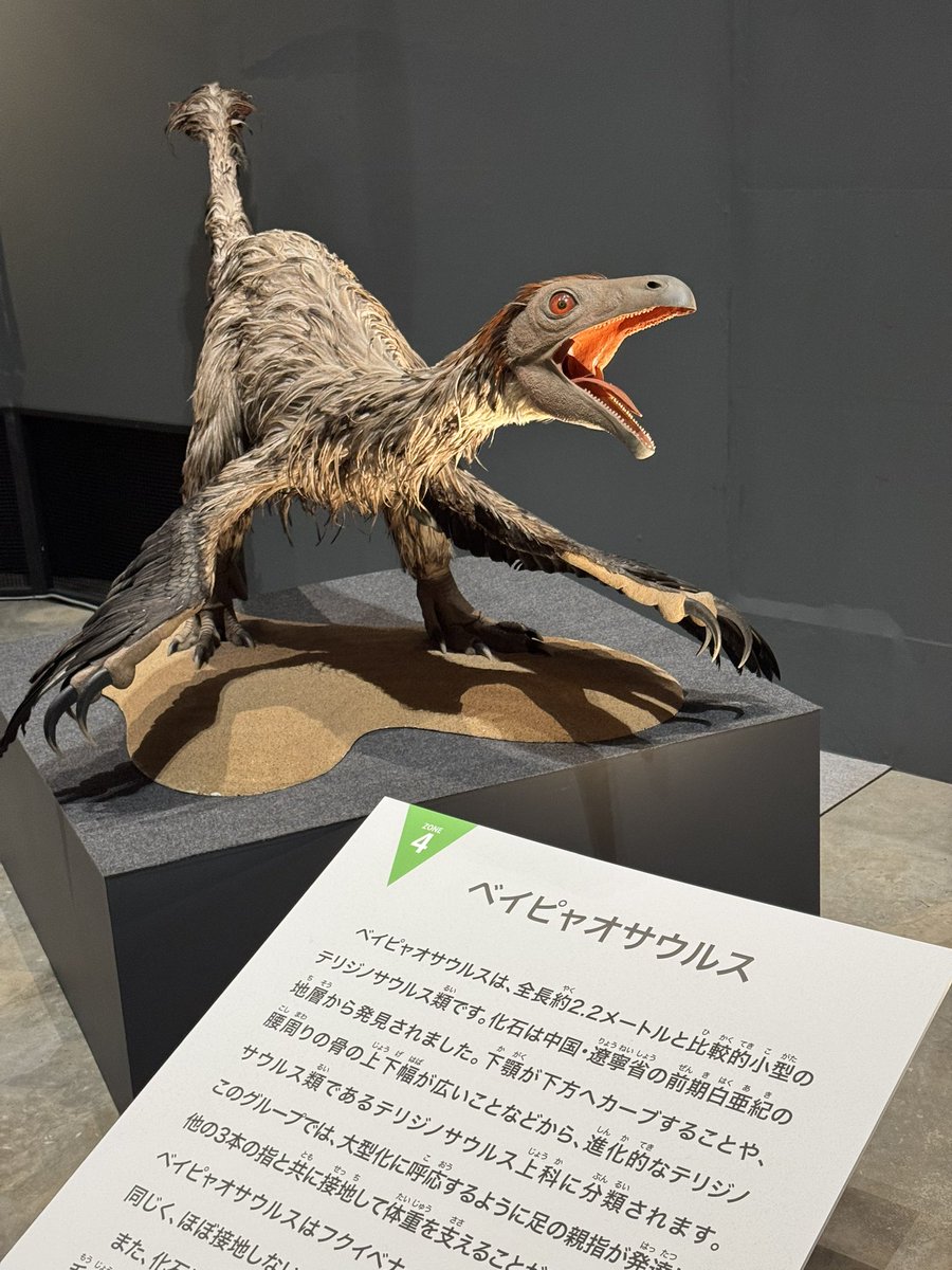 行ってきました。話題の恐竜博物館