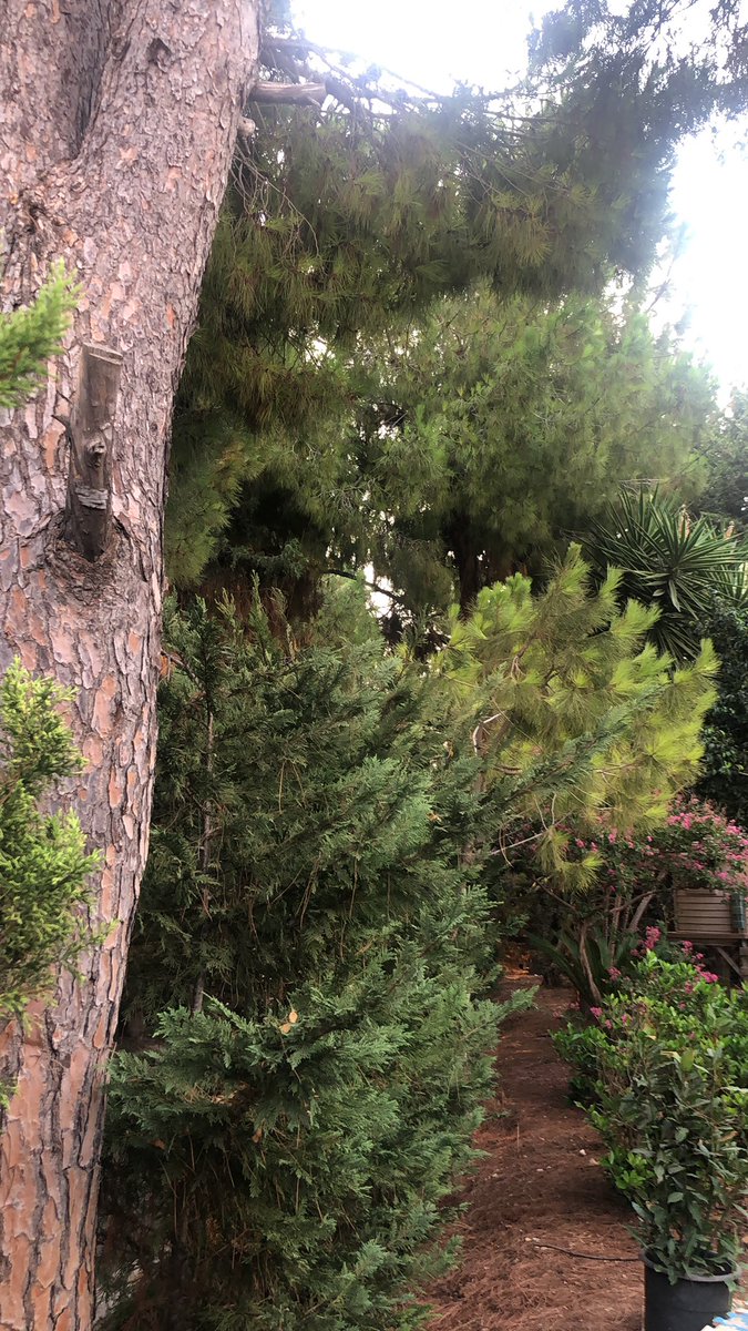 الجو عم يغلي برا،
 خليك أنت النسمة الباردة بهالصباح

#صباح_الخير