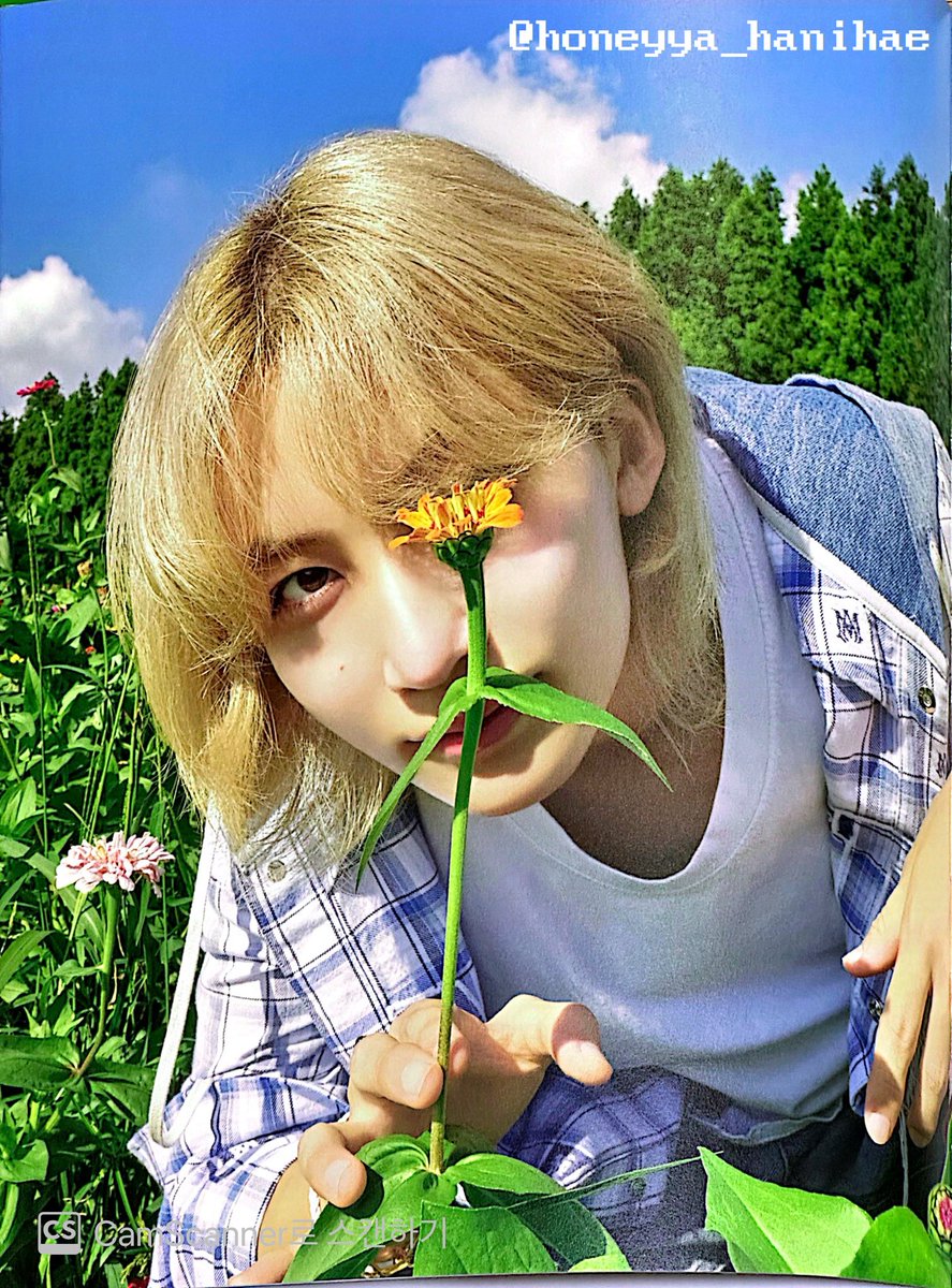 honeyya_hanihae's tweet photo. 애들아 나 죽을게
#정한 #JEONGHAN https://t.co/f1cqN9o4mQ