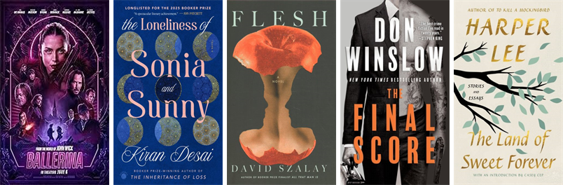 CHBoothLibrary's tweet image. This week the Cyrenius H. Booth Library has 30 new books and one new movie. New items include Ballerina, The Loneliness of Sonia and Sunny, Flesh, The Final Score, The Land of Sweet Forever, Good Spirits, Greenwich, The South, and Misinterpretation. wowbrary.org/nu.aspx?p=3076…