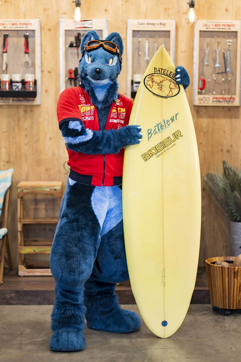 #InternationalWolfDay
#国際オオカミの日 

なみのりオオカミ🐺
リアルなオオカミもオオカミのキャラもだいたい好き🫶

📸:<a href="/eps_ham/">ハム Ham</a>