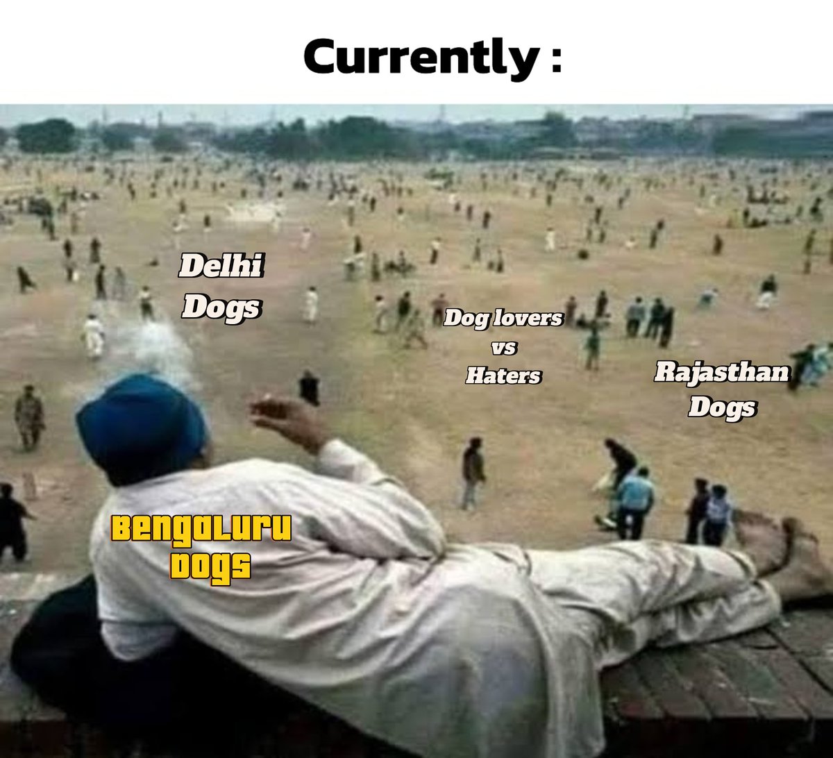 Abhi_GOAT18's tweet photo. #Bengaluru DOGS Eating Biryani & be like:
We are not same😎
#straydogsfreeindia #straydogs #Bengalurudogs #dogsindanger https://t.co/GTKk3SXWNI