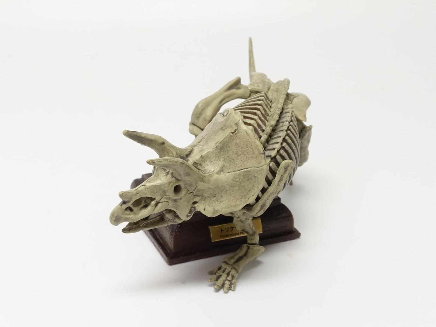 ネイチャーテクニカラー　古生物　恐竜　生き物　フィギュア　カプセルトイ ネイチャーテクニカラー 古生物 恐竜 生き物 フィギュア