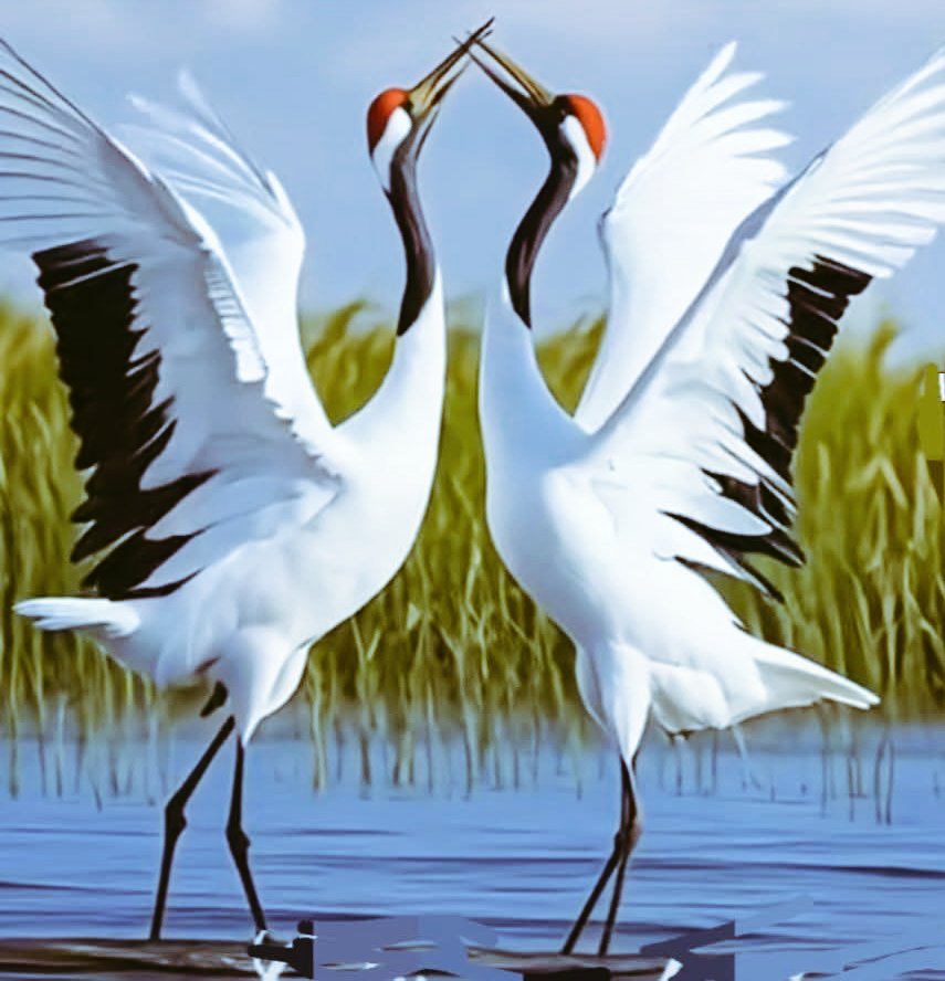 .
         İnsanlar ılık kalplere.
Mükemmel insana ihtiyacı yok.

                Bu dünyanın..
Merhamete.. Sevgiye.. Saygıya         

      Güzel bakışa ihtiyacı var.!

                     Bahar🌸