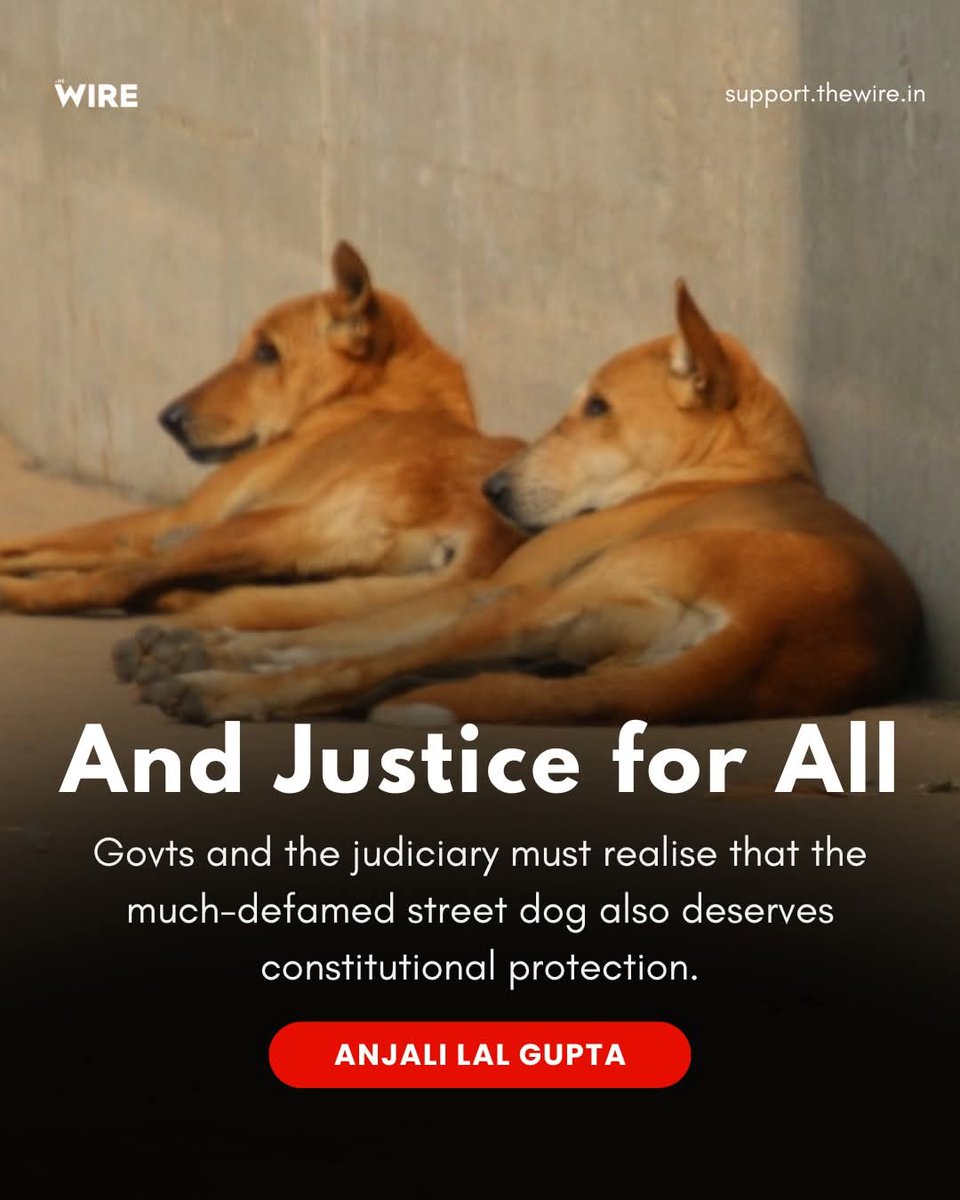 PrakashWKamatPK's tweet photo. Now on we will fight for their Constitutional protection. This is our common goal from now on. Because they are voiceless. They are territorial. Solutions should be worked out without harming them.๐
@SachiRupaliK @sachin_rt @PetaIndia @SachinKalbag @MICHELEKERRIS @joedelhi @TheViditsharma