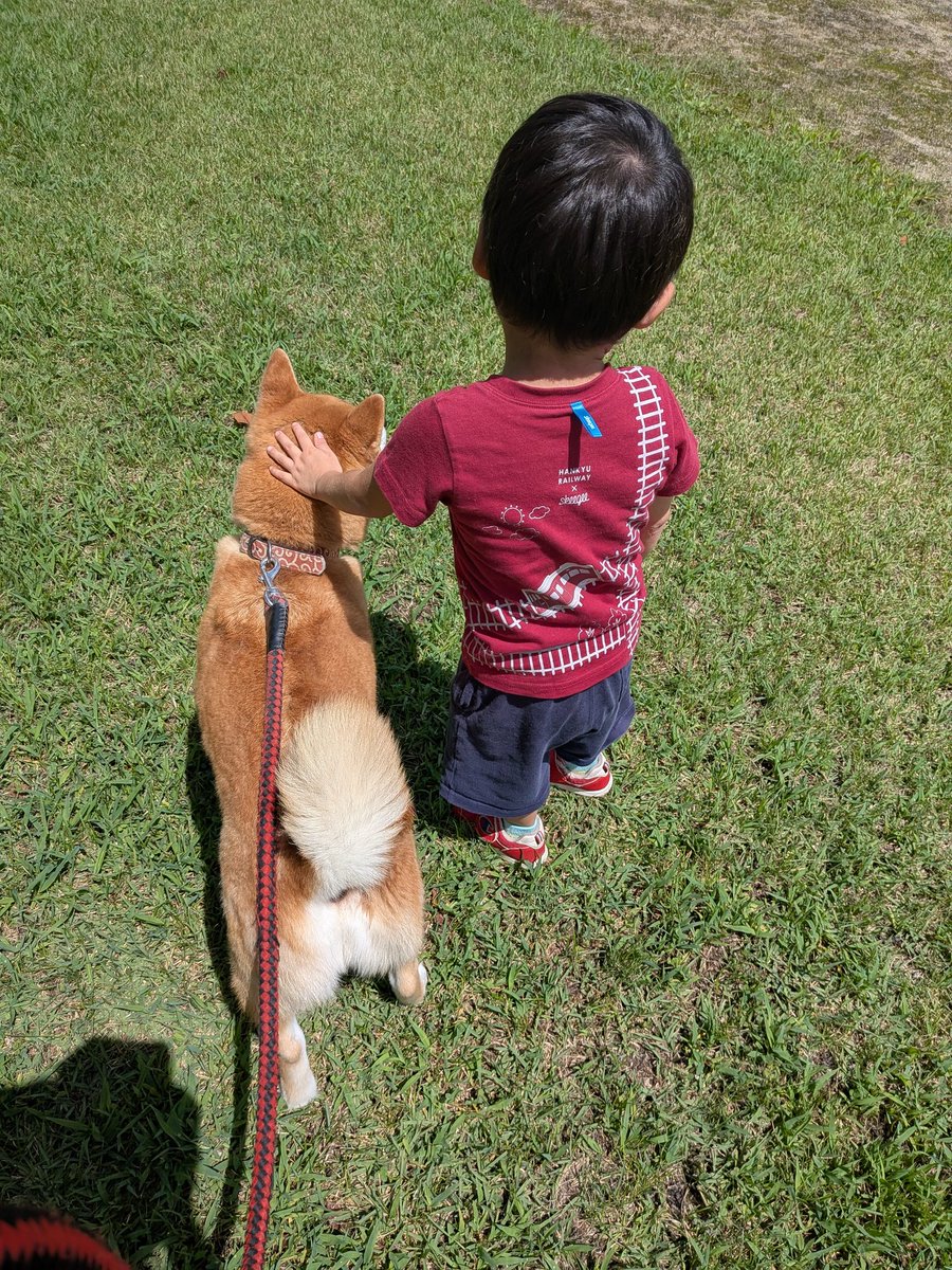 避暑地でもかわゆ🐶👶♥♥

#柴犬
