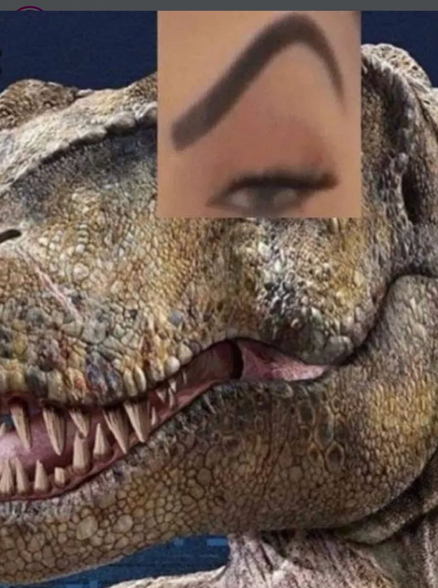 Cinthya A. Rodríguez O tweet media