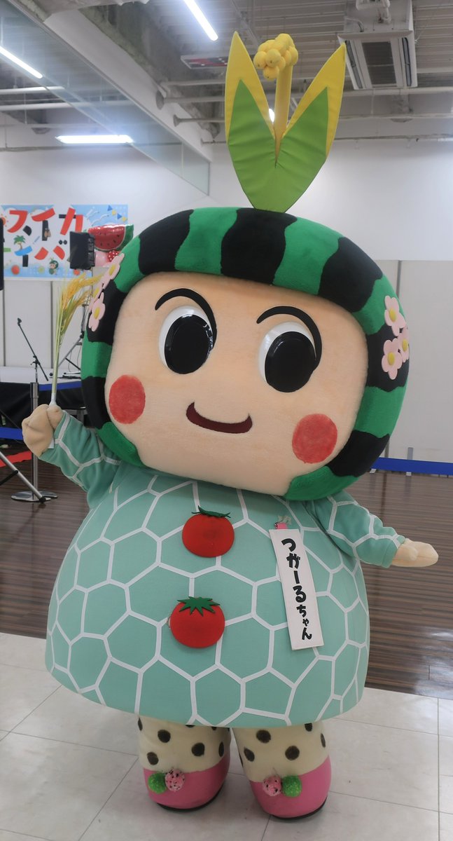 こんにちは♡
つがーるちゃんです（。∂◡∂。🎐）

今日からお盆(*^-^*)
故郷に帰省された方も
これからお休み満喫される方も
休まずお勤めされてる方も
良き日々でありますように♡

お外はまだまだきびしぃ
わいはぁ！な、あつさ( ;∀;)

負けないじょ！

でも、
体調管理は気をつけてね♡