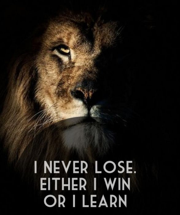 kitesgg's tweet photo. @bugha @RitualFPS @RazZzero0oFN @Bylah3 @PeterbotFN https://t.co/yEKngDbFWF